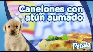 Pétalo Video